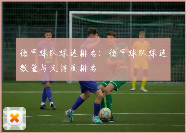 德甲球队球迷排名：德甲球队球迷数量与支持度排名