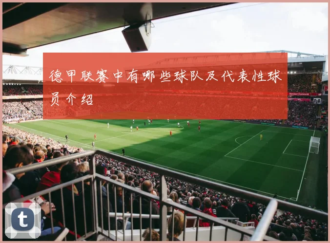 德甲联赛中有哪些球队及代表性球员介绍