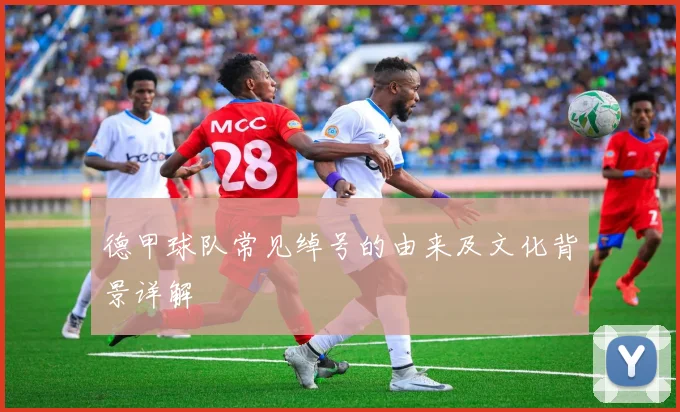 德甲球队常见绰号的由来及文化背景详解